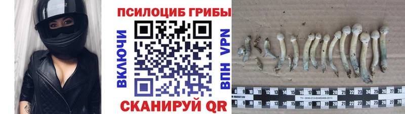 Галлюциногенные грибы мицелий  Купить  Козьмодемьянск 